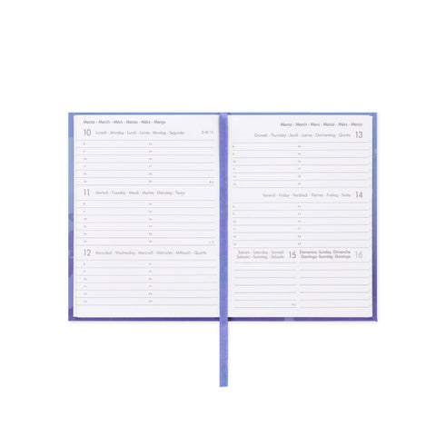 Agenda 2025 Semanal Mini - Kitty