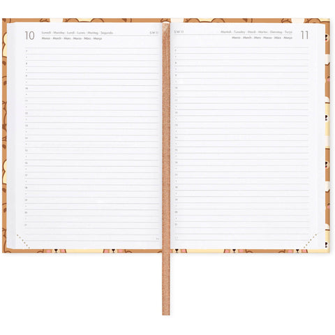 Agenda 16 Meses 25-26 Médio - Urso