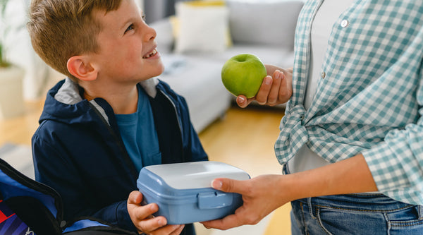 Lancheiras para a escola e trabalho: guia para escolher