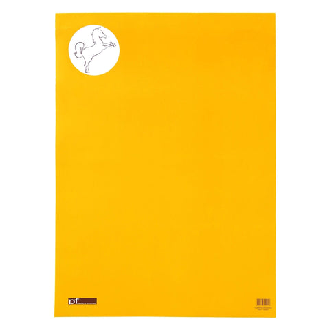 Caderno Desenho Cavalinho A2 24 Folhas 125G
