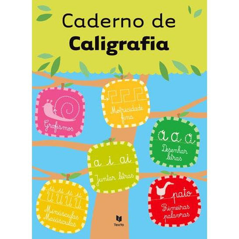 Caderno de Caligrafia de Manuel J. E. Santo Ferrão