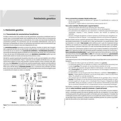 Resumos - Biologia - 12.º Ano