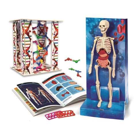 O Corpo Humano Clementoni