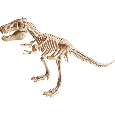 Kit Arqueologia - T-Rex Gigante