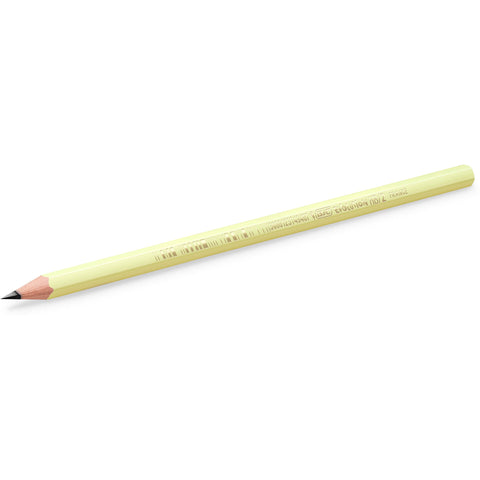 Lápis Evolution HB Pastel 5 Unidades Bic