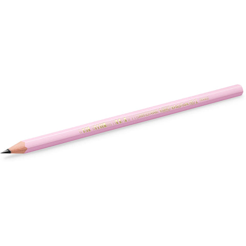 Lápis Evolution HB Pastel 5 Unidades Bic