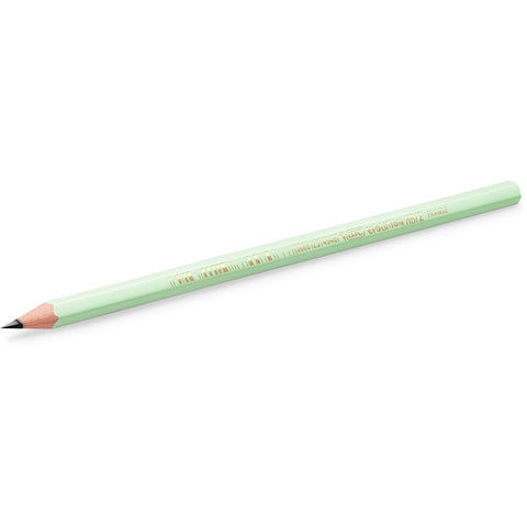 Lápis Evolution HB Pastel 5 Unidades Bic
