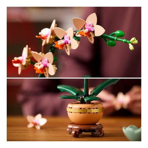 LEGO Botanicals - Orquídea em Miniatura - 10343