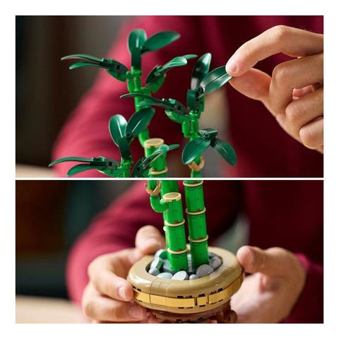 LEGO Botanicals - Bambu da Sorte - 10344