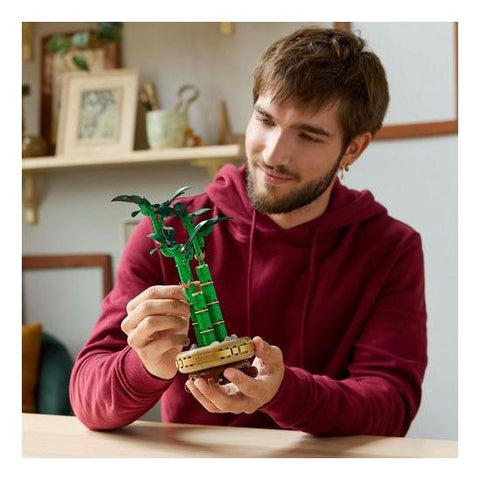 LEGO Botanicals - Bambu da Sorte - 10344