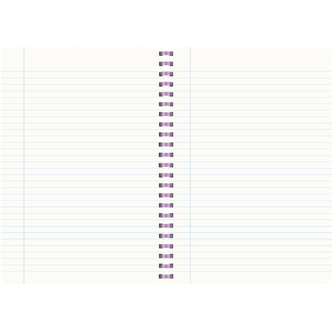 Conjunto Caderno Espiral A4 Kraft Soft 80 Folhas 80G Pautado 2 Unidades Note!