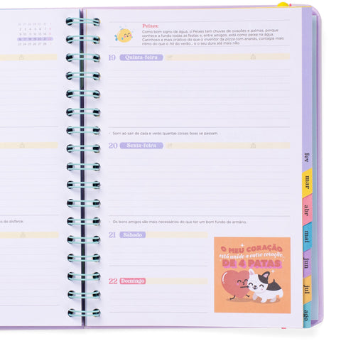 Agenda Wonder 25-26 Semanal - Algo Mágico