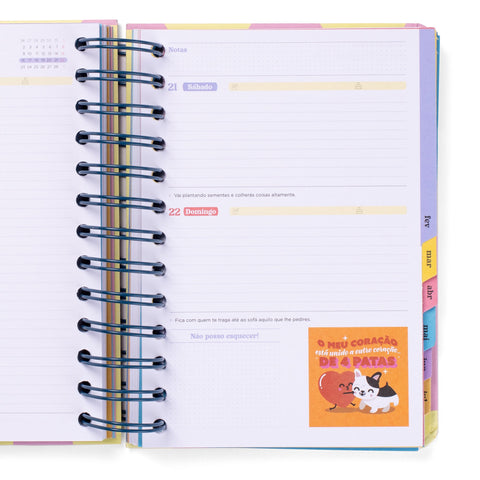 Agenda Wonder 25-26 Diária Pequena- Dia À Vista