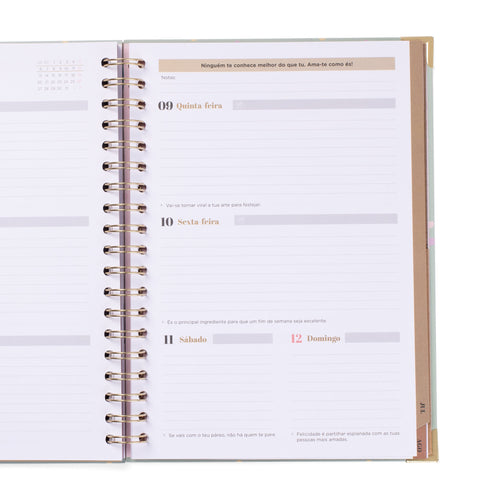 Agenda Office 25-26 Semanal Grande - Surpreender