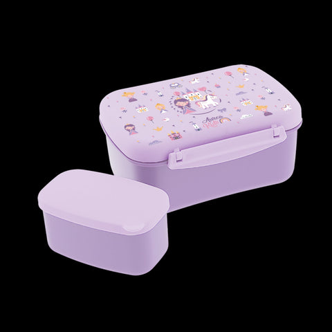 Caixa Hermética - Magic Kingdom