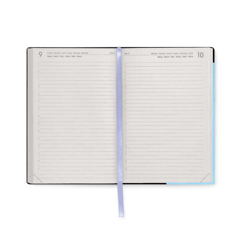 Agenda 12 Meses 2026 - Aura Médio