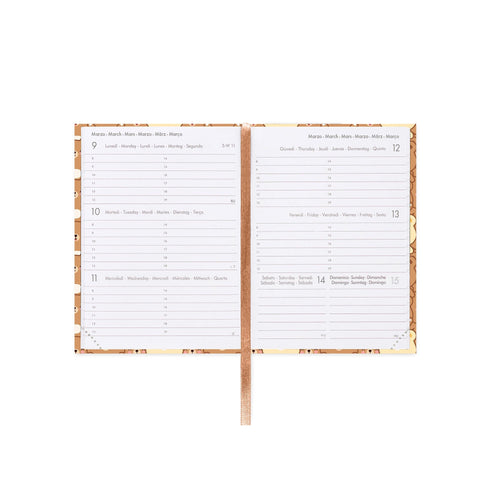 Agenda 12 Meses 2026 - Urso Mini