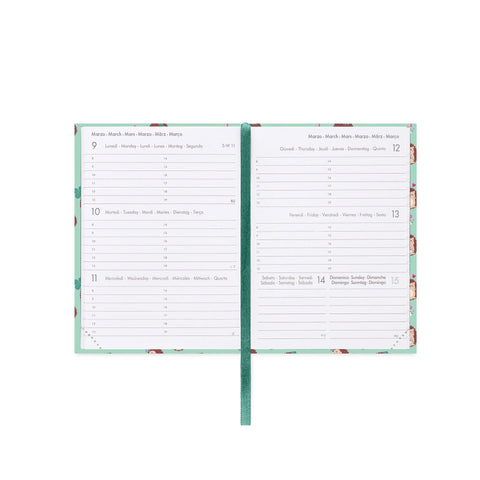 Agenda 12 Meses 2026 - Ouriço Mini