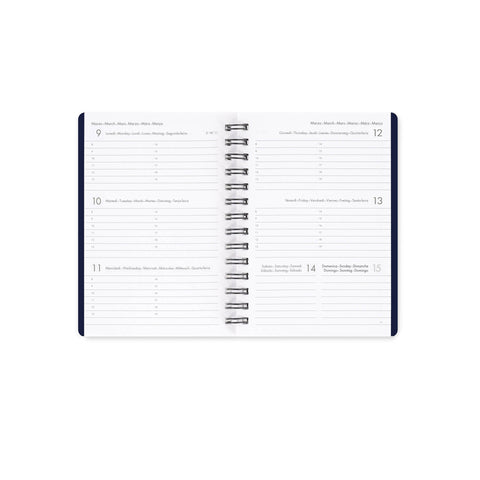 Agenda 12 Meses 2026 -Estrelas Espiral