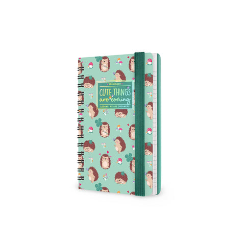 Agenda 12 Meses 2026 - Ouriço Espiral