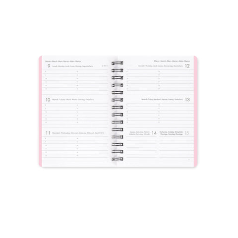 Agenda 12 Meses 2026 Margarida Espiral