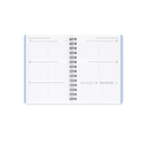 Agenda 12 Meses 2026  - Corgi Espiral