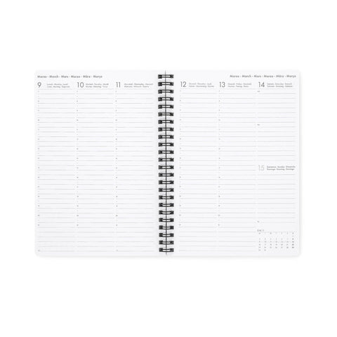 Agenda 12 Meses 2026 - Magic Espiral