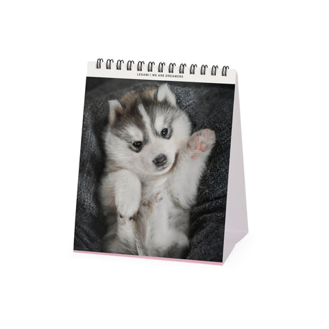Calendário 2026 - Puppies 12X14,5