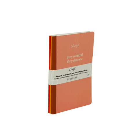 Conjunto 3 Cadernos 19X25 - Very Mindful