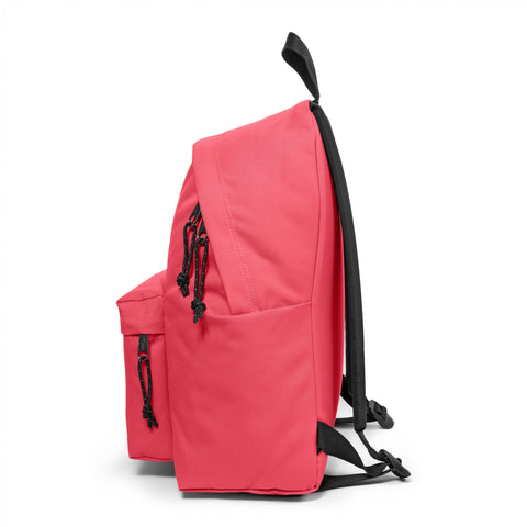 Mochila Padded Pak'r - Pink Cupcake