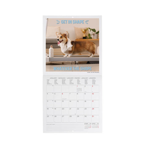 Calendário Parede 2027 18 X18 - Supawstar