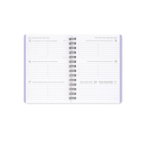 Agenda Semanal 2027 S - Daisy