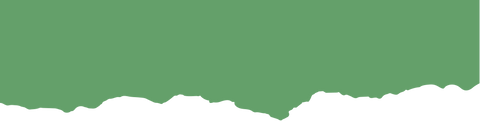 2º e 3º Ciclo