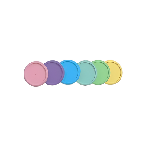 Discos e Elástico Caderno Inteligente 3.1cm (G) Colorido